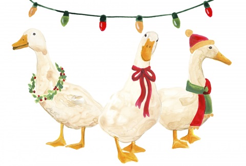 Merry Quackmas Collection A