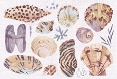 Ocean Sounds Collection A