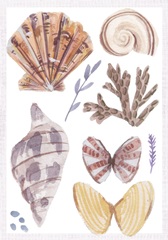 Ocean Sounds Collection B