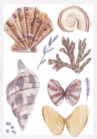 Ocean Sounds Collection B