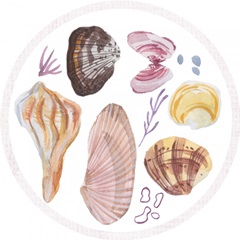 Ocean Sounds Collection C