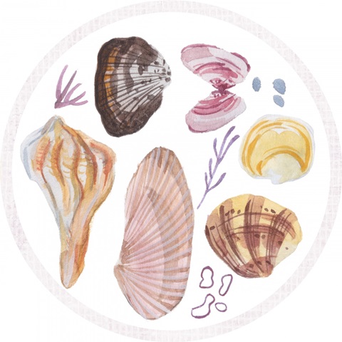 Ocean Sounds Collection C