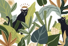 Panther Magic Collection A