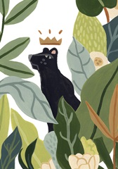 Panther Magic Collection B