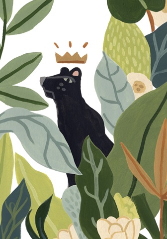 Panther Magic Collection B