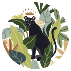 Panther Magic Collection C