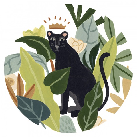 Panther Magic Collection C