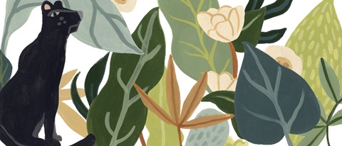 Panther Magic Collection D