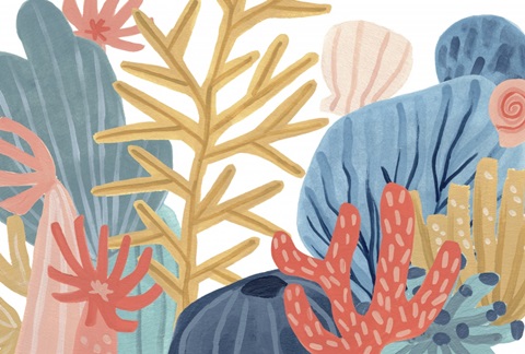 Paper Reef Collection A