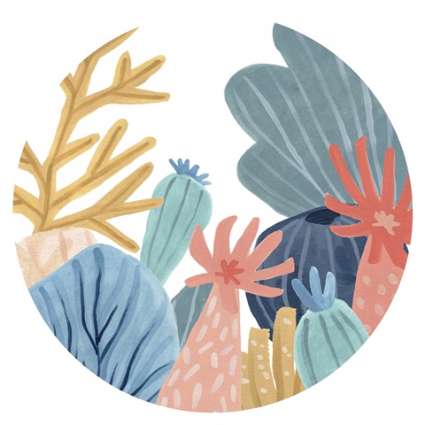 Paper Reef Collection C