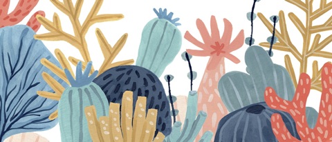 Paper Reef Collection D