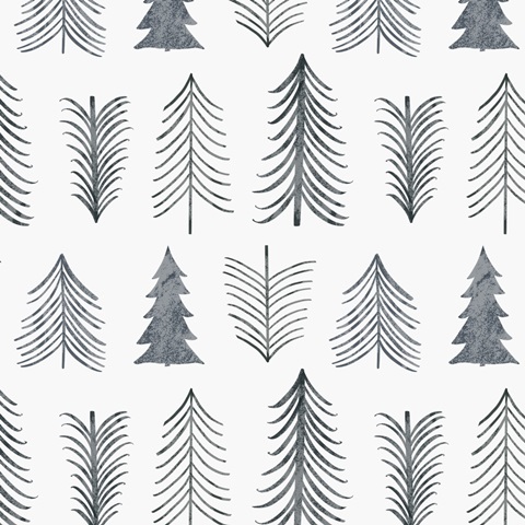 Ski Slope Collection F