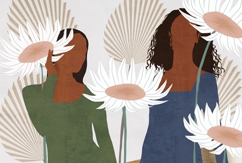 Sun Kissed Collection A