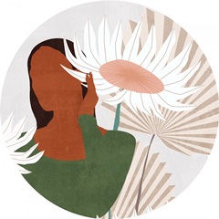 Sun Kissed Collection C