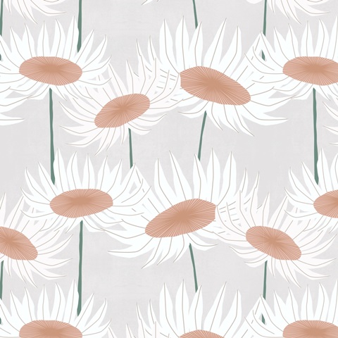 Sun Kissed Collection F