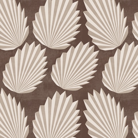 Sun Kissed Collection I