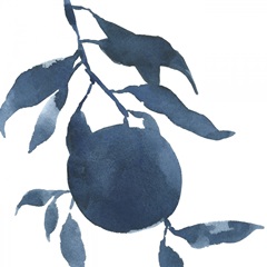 Indigo Oranges III
