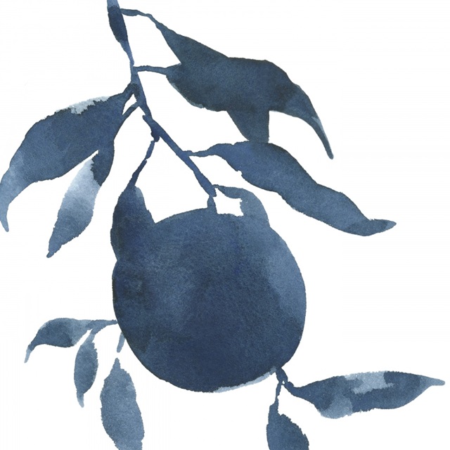 Indigo Oranges III