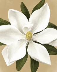Magnolia on Gold II