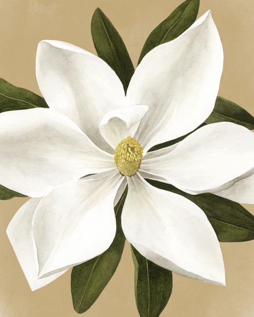 Magnolia on Gold II