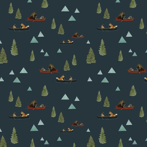 Bear Lake Collection I