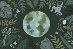 Earth Day Everyday Collection A