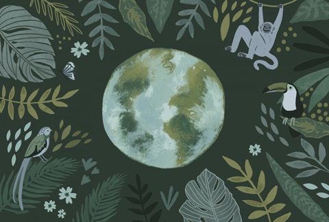 Earth Day Everyday Collection A