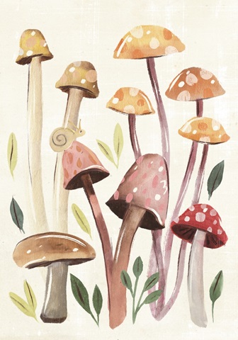 Fungi Field Trip Collection B