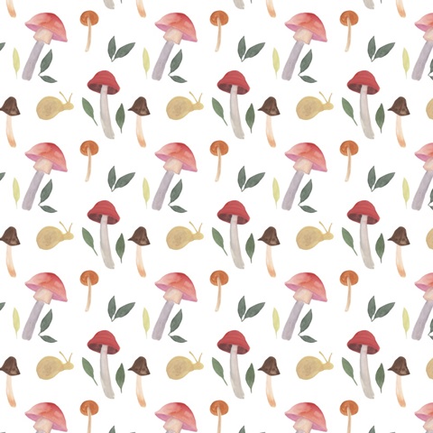 Fungi Field Trip Collection F