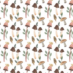 Fungi Field Trip Collection H