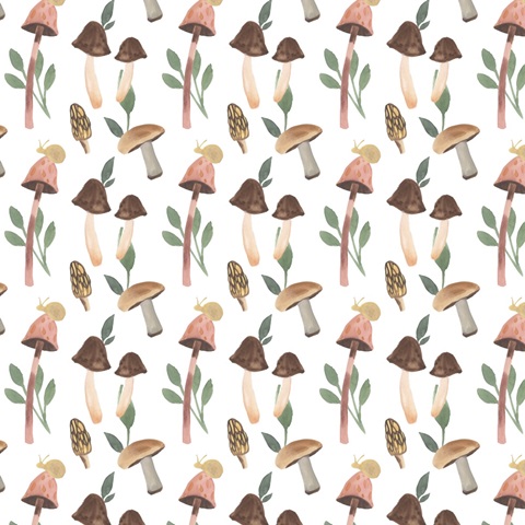 Fungi Field Trip Collection H