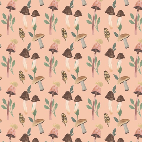 Fungi Field Trip Collection I