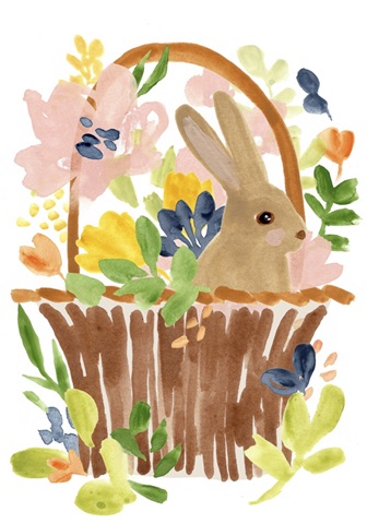 Meadow Potpourri Collection B