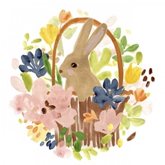 Meadow Potpourri Collection C