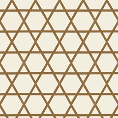 Natural Hanukkah Collection F