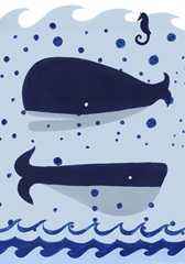 Nautical Explorer Collection B