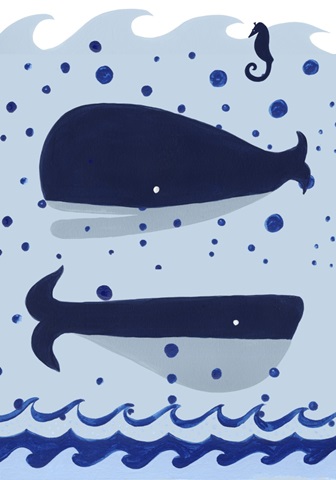 Nautical Explorer Collection B