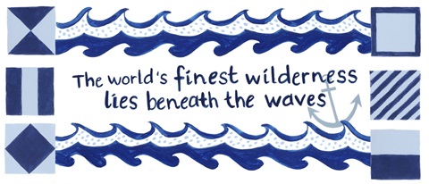 Nautical Explorer Collection D