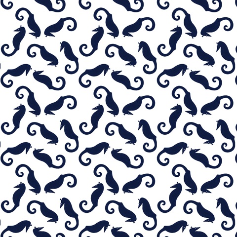 Nautical Explorer Collection H