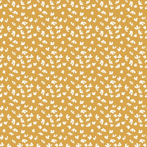 Pattern Poise Collection I