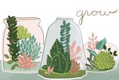 Terrarium Cameo Collection A