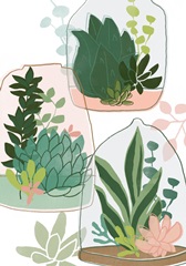 Terrarium Cameo Collection B