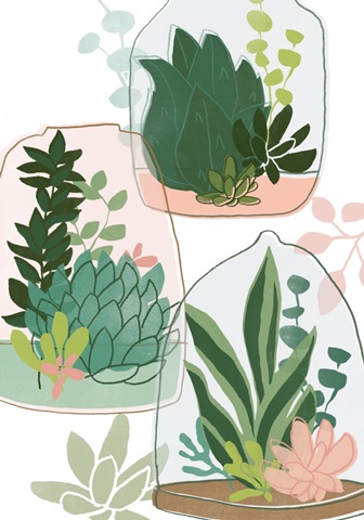 Terrarium Cameo Collection B