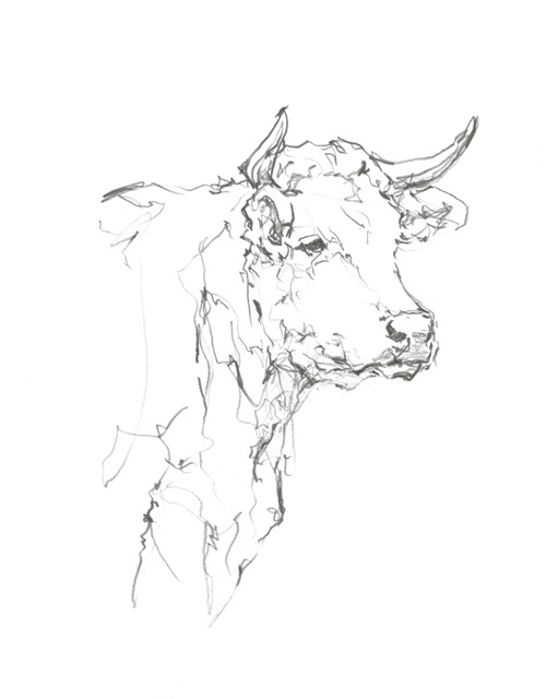 Bovine Quick Study I