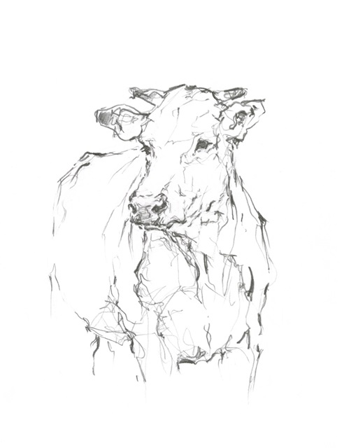 Bovine Quick Study II