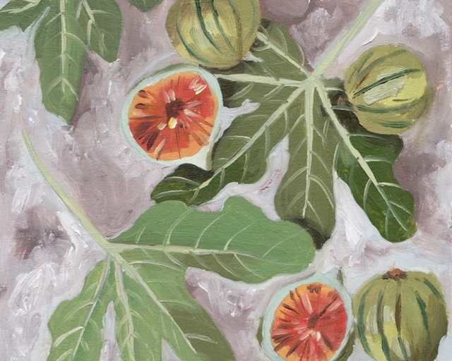 Decorative Fig II