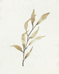 Soft Autumn Branch I