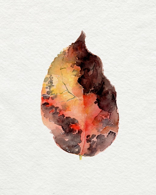 Watercolor Autumn Leaf I