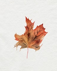 Watercolor Autumn Leaf II