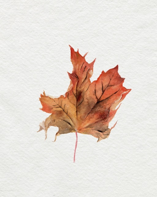 Watercolor Autumn Leaf II